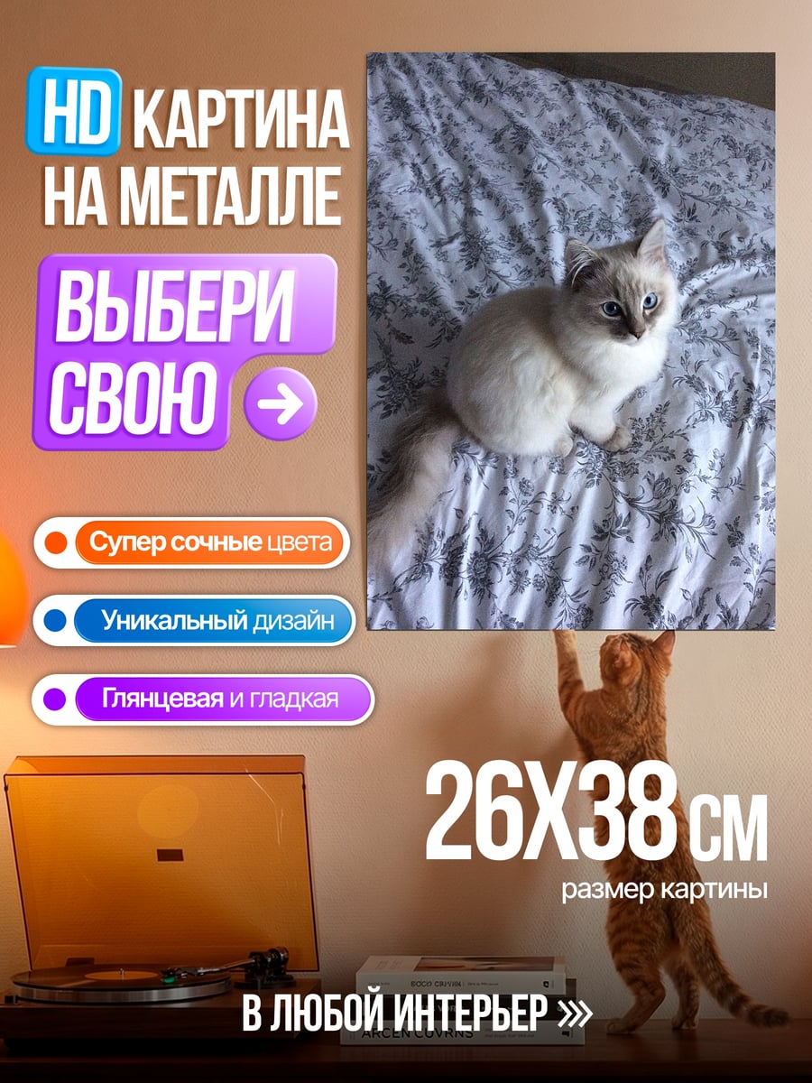 Картина на металле Кот на кровати
