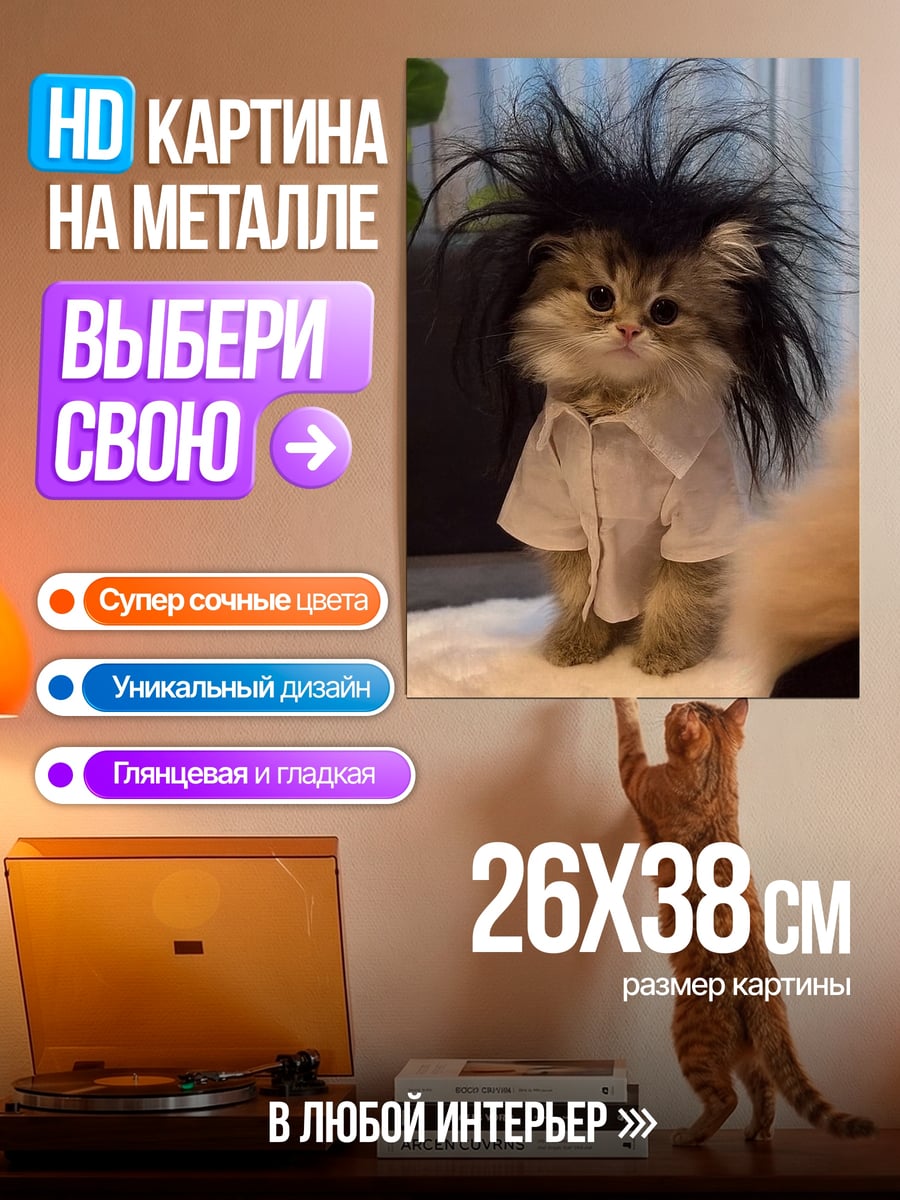 Картина на металле Кот в рубашке