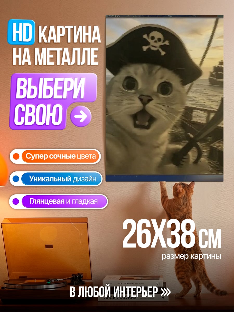 Картина на металле Кот пират с саблей