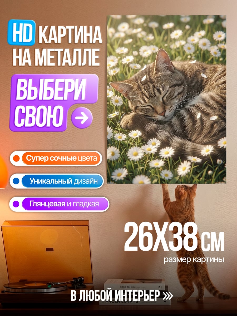 Картина на металле Спящий кот поле