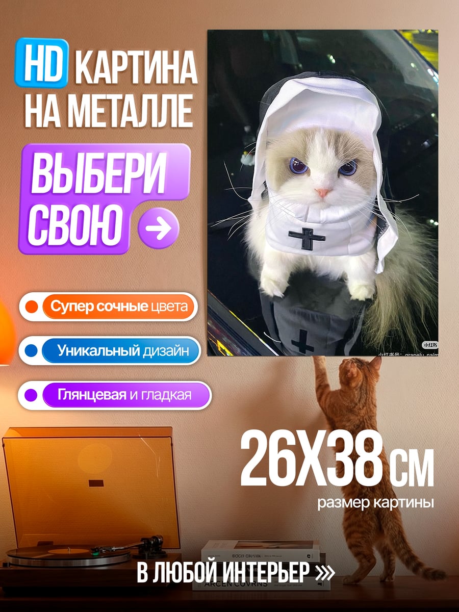 Картина на металле Кот в костюме монахини