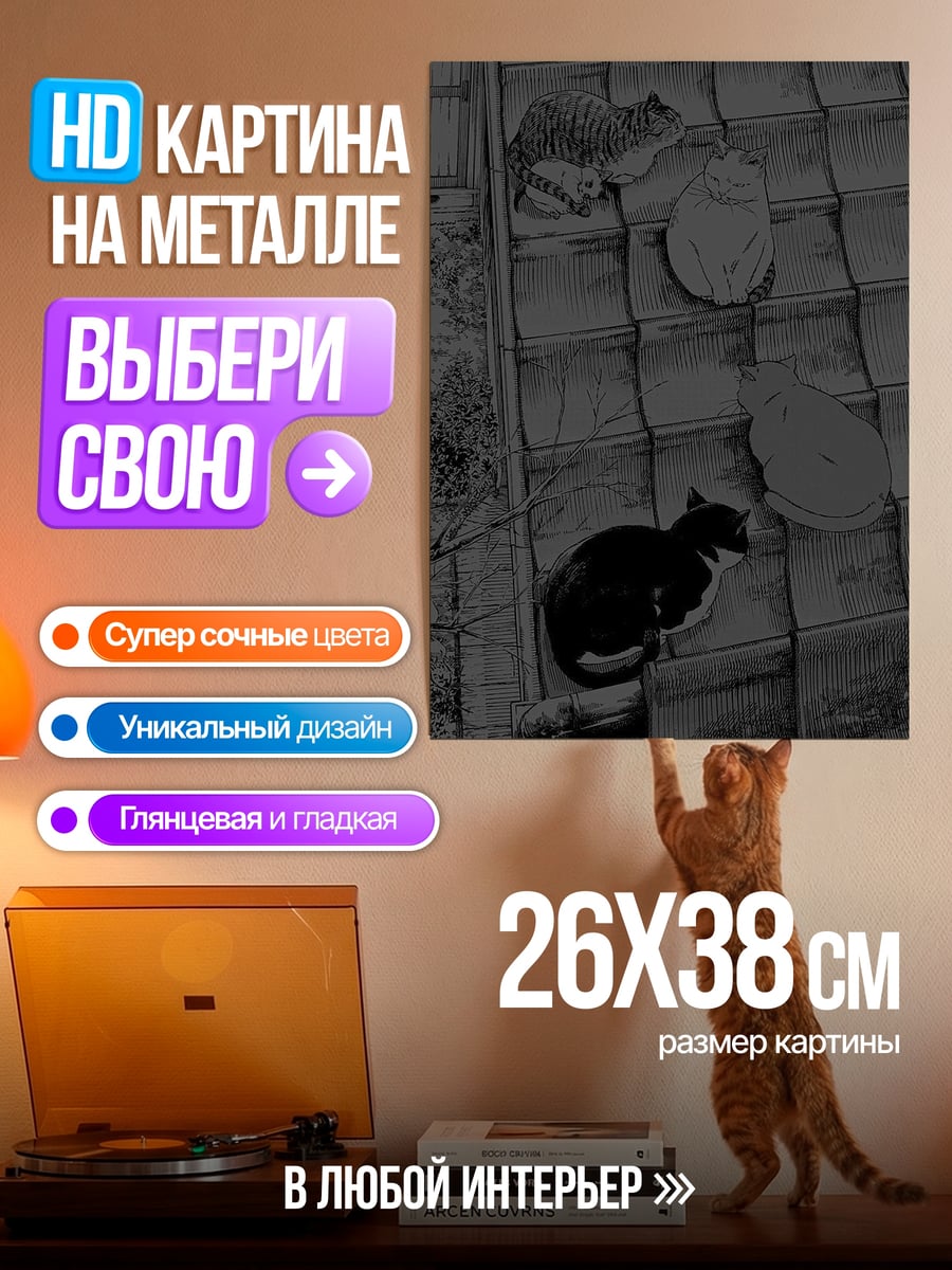 Картина на металле кошки на крыше