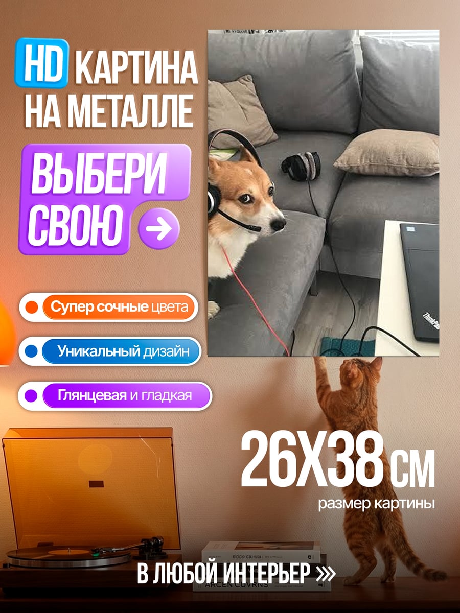 Картина на металле Корги на созвоне