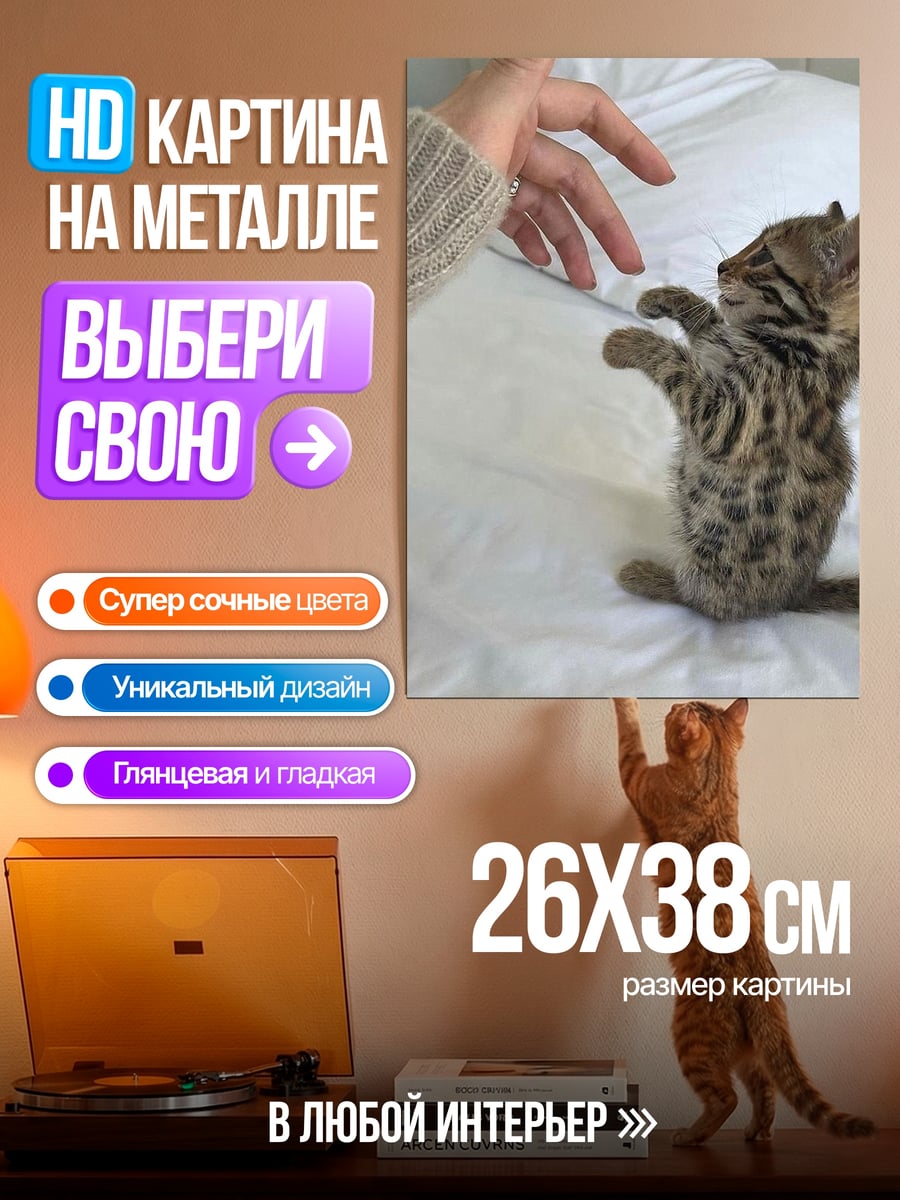 Картина на металле Котёнок тянется к руке