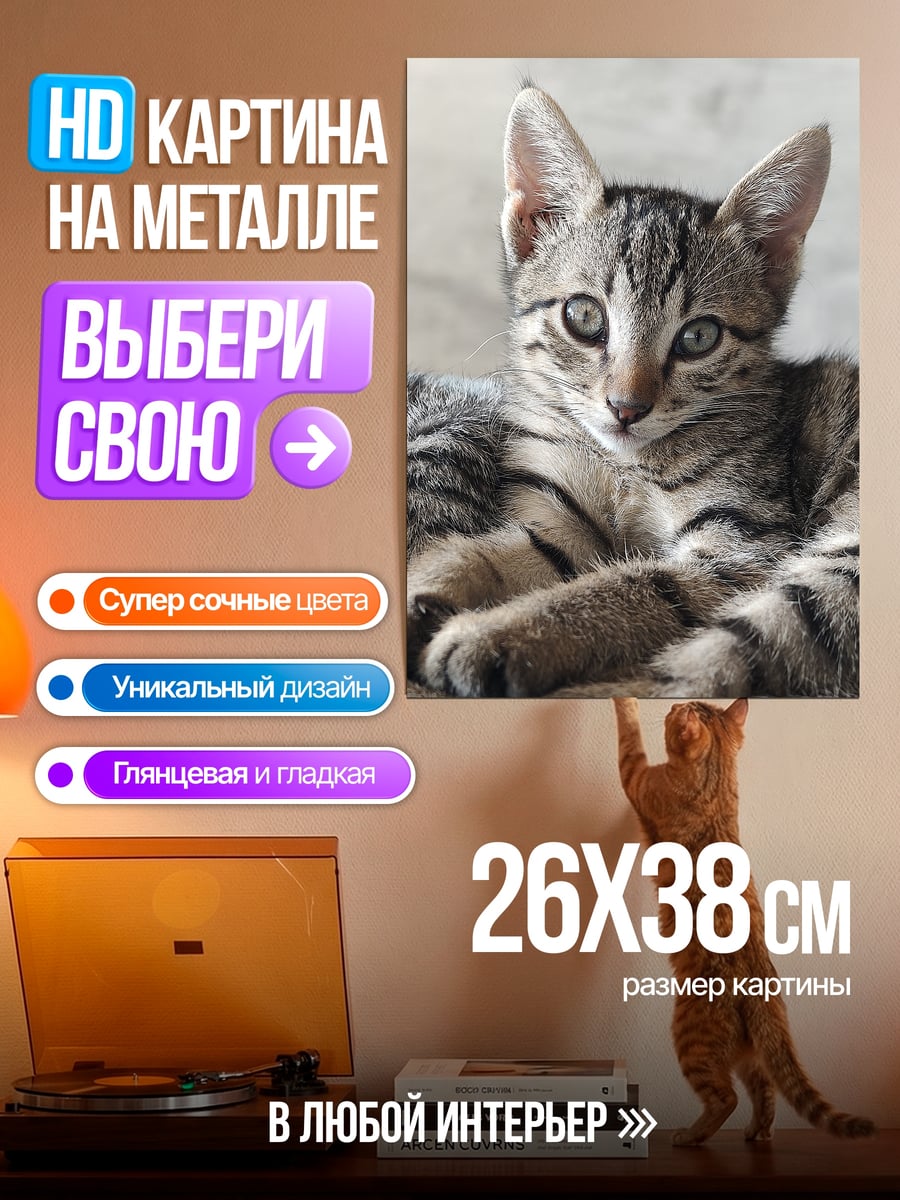 Картина на металле Полосатый котёнок