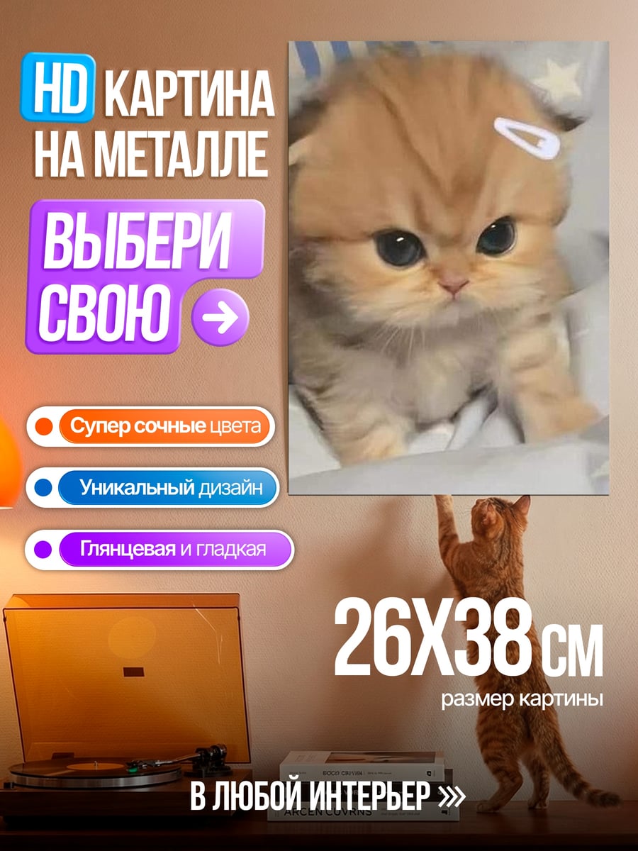 Картина на металле рыжий котенок с заколкой