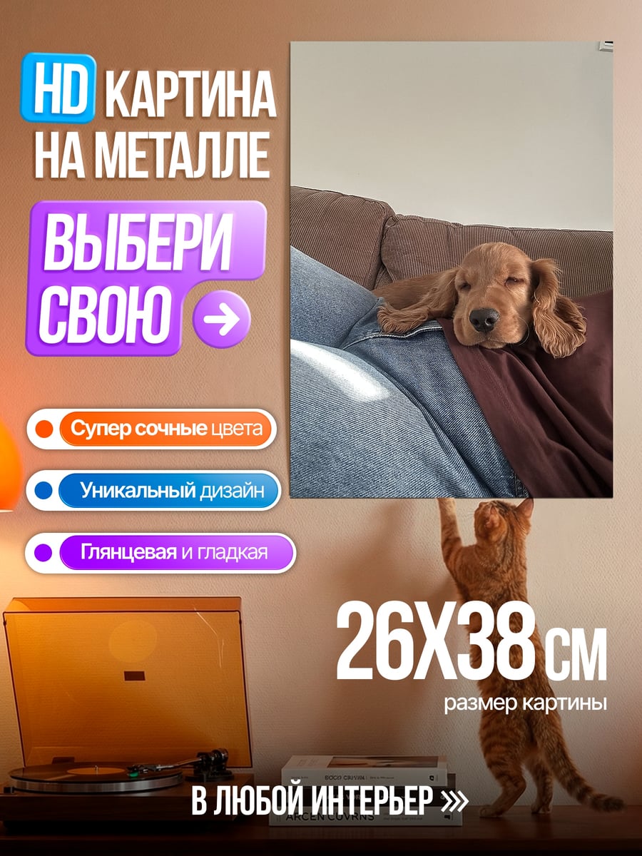Картина на металле Спящий щенок на диване