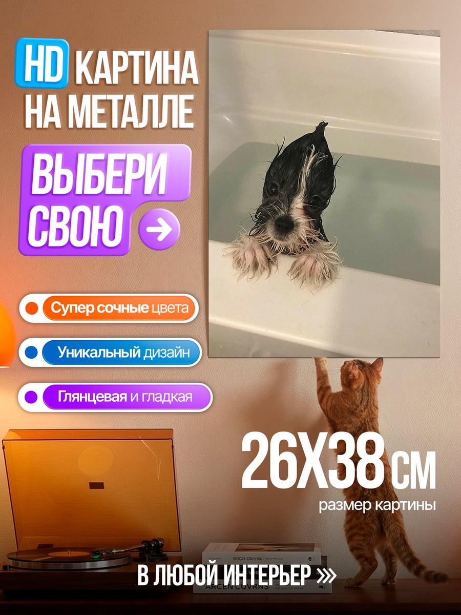 Картина на металле Щенок в ванне