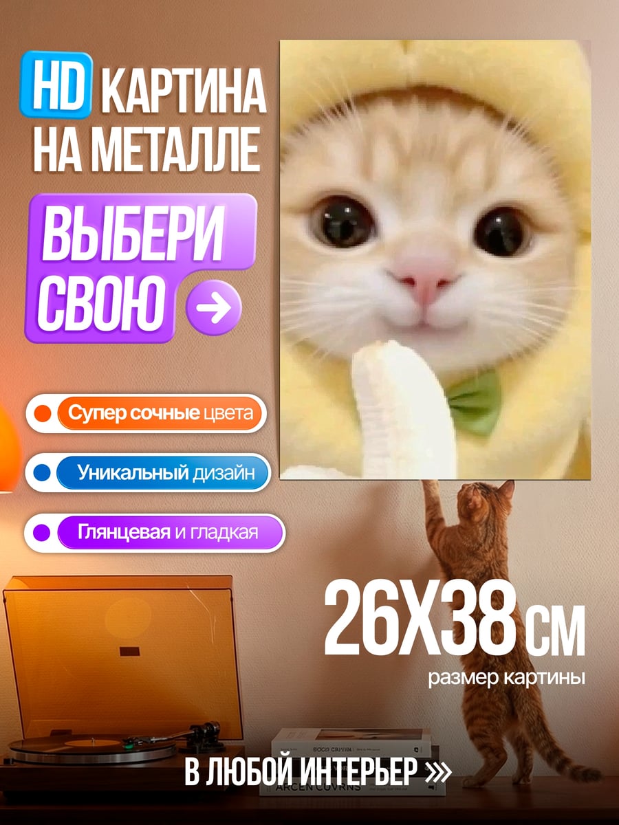 Картина на металле Кот в костюме банана