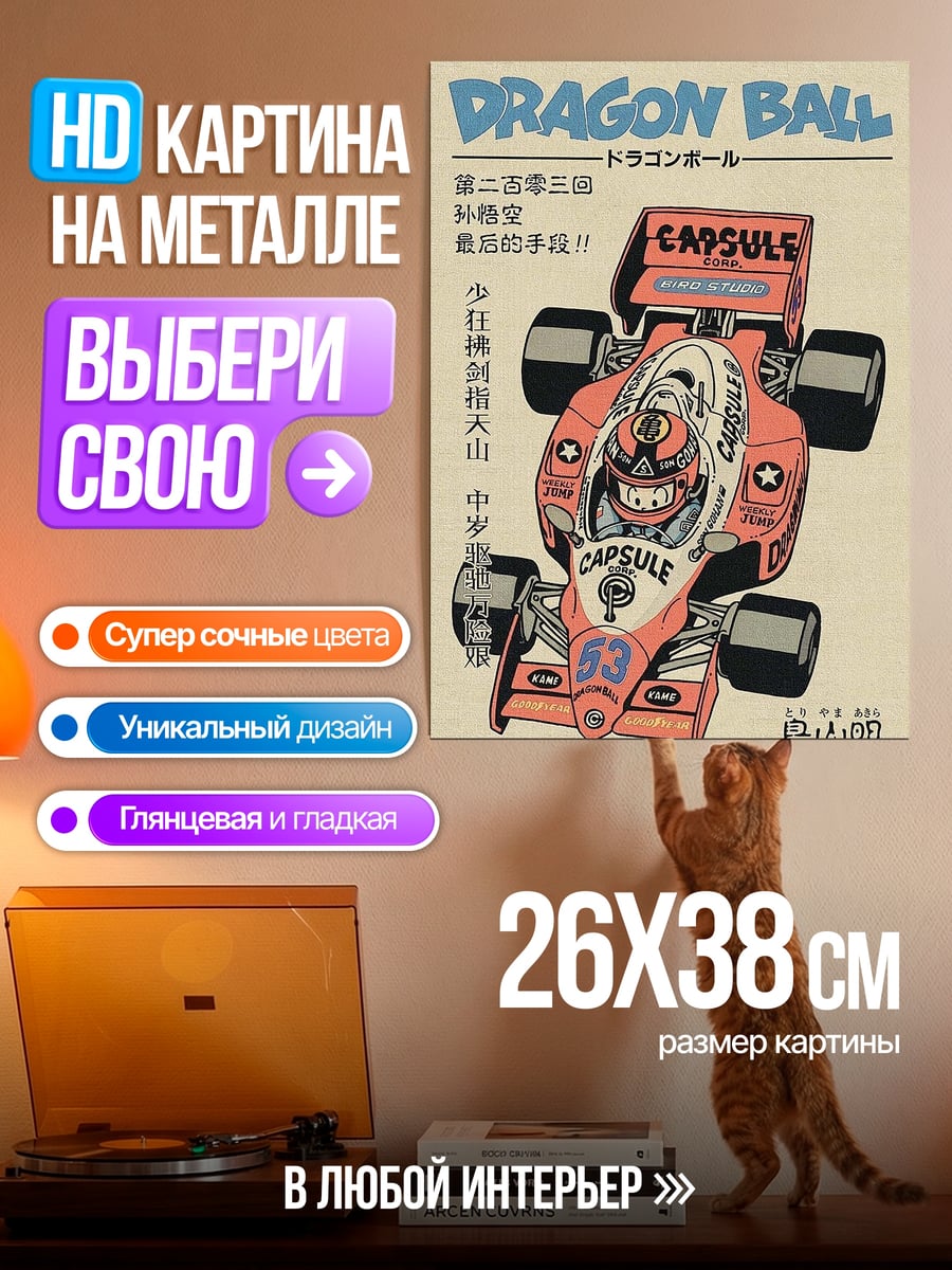 Картина на металле Гонка Dragon Ball