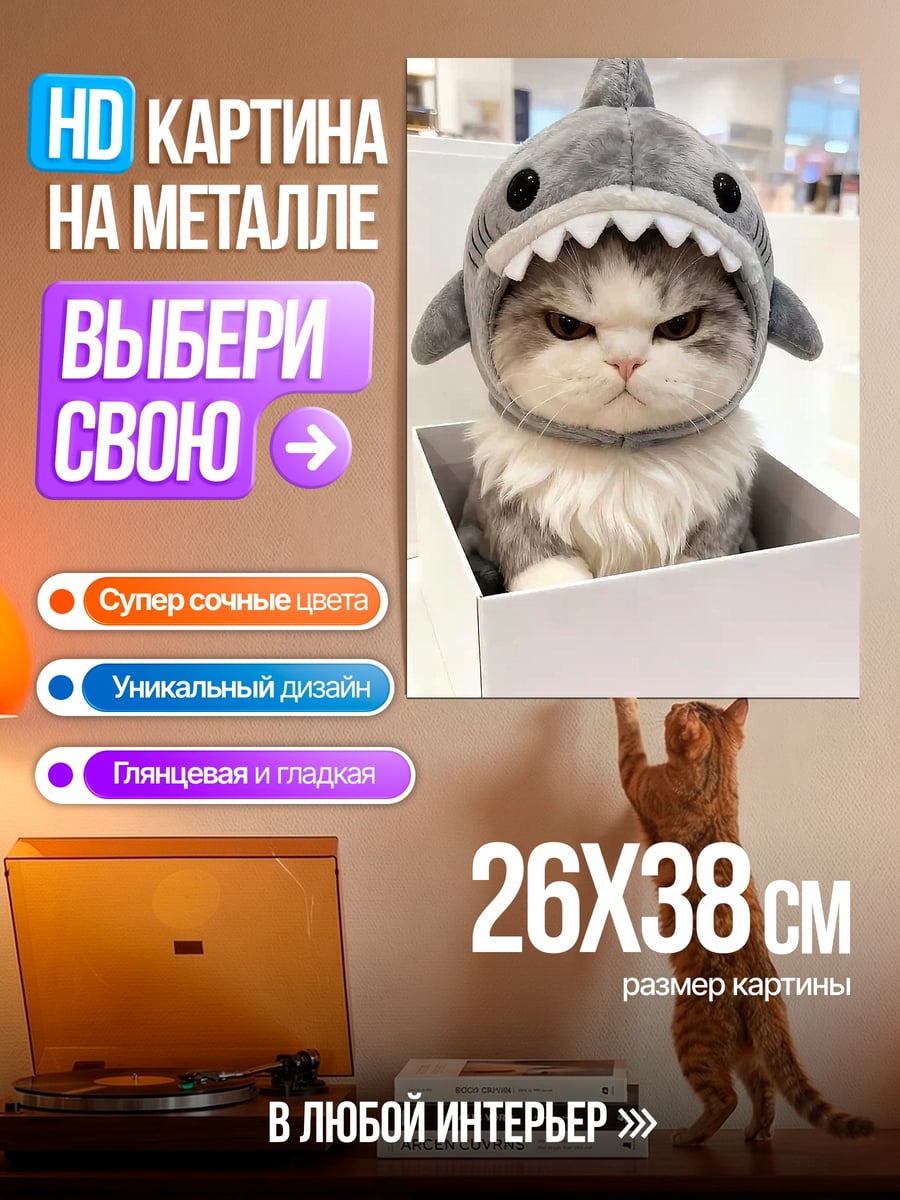 Картина на металле Кот в шапке акулы