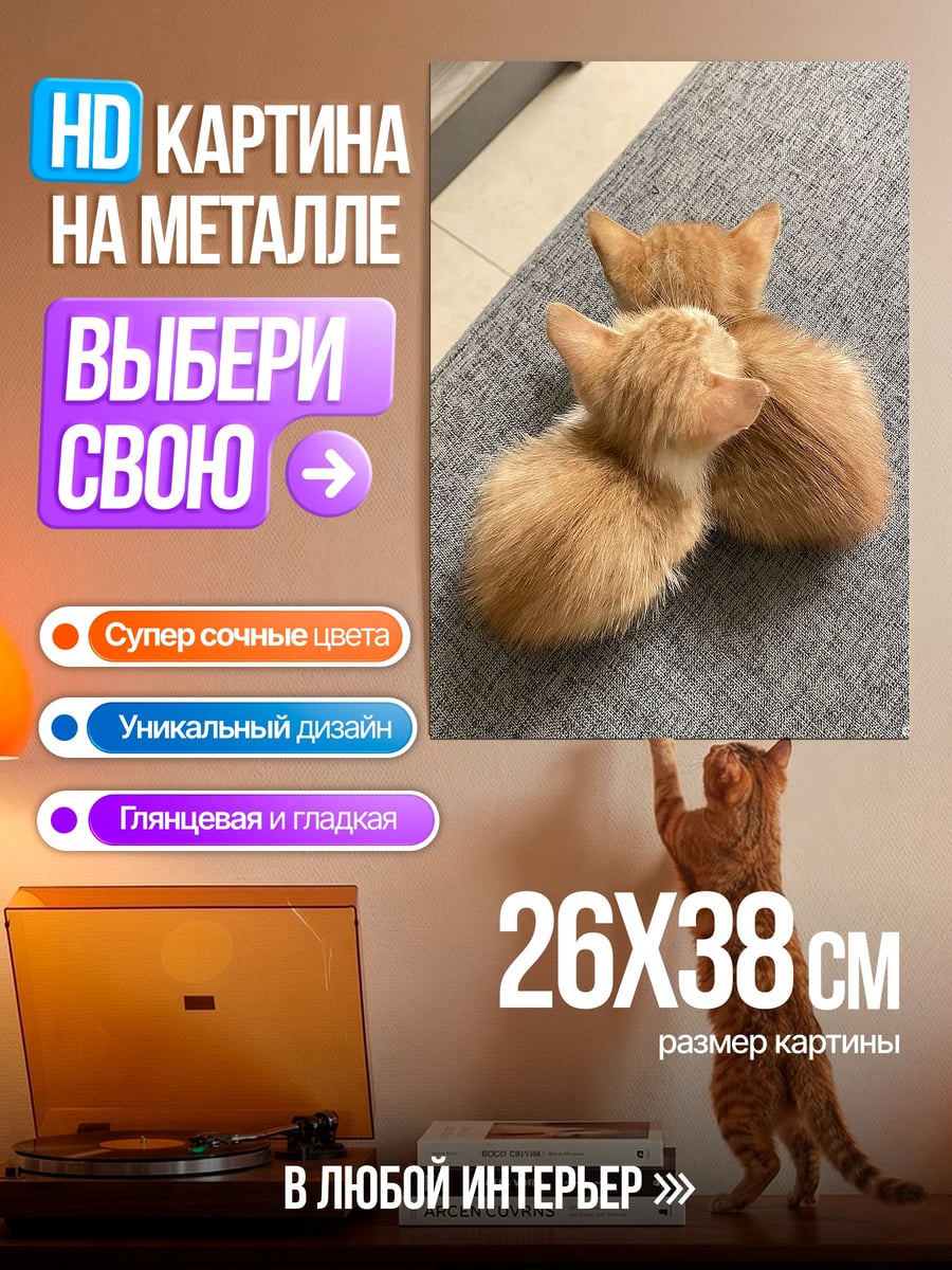 Картина на металле Два рыжих котенка