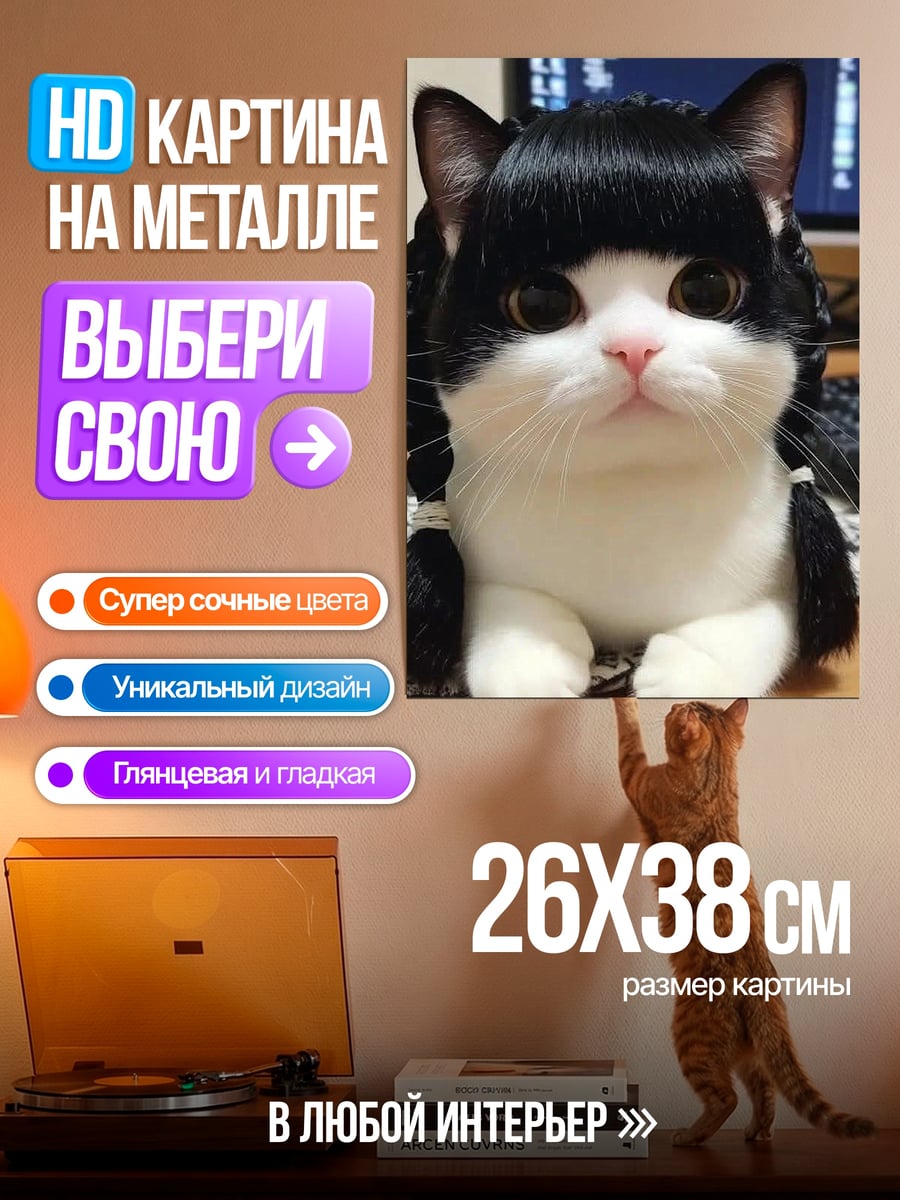 Картина на металле Кот с челкой и косичками