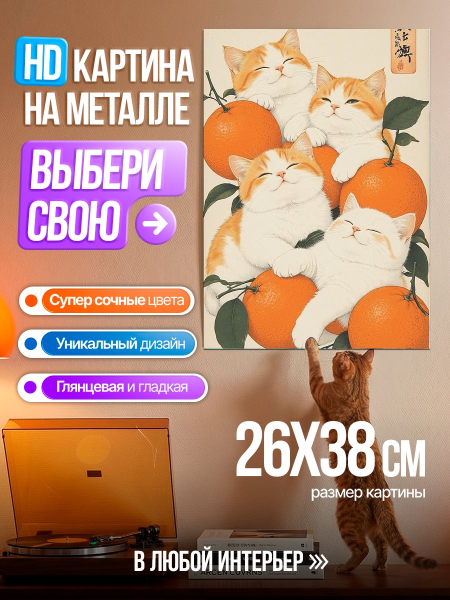 Картина на металле Котики и апельсины