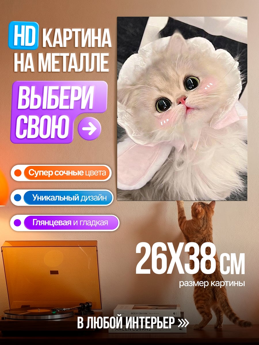 Картина на металле Пушистый котенок
