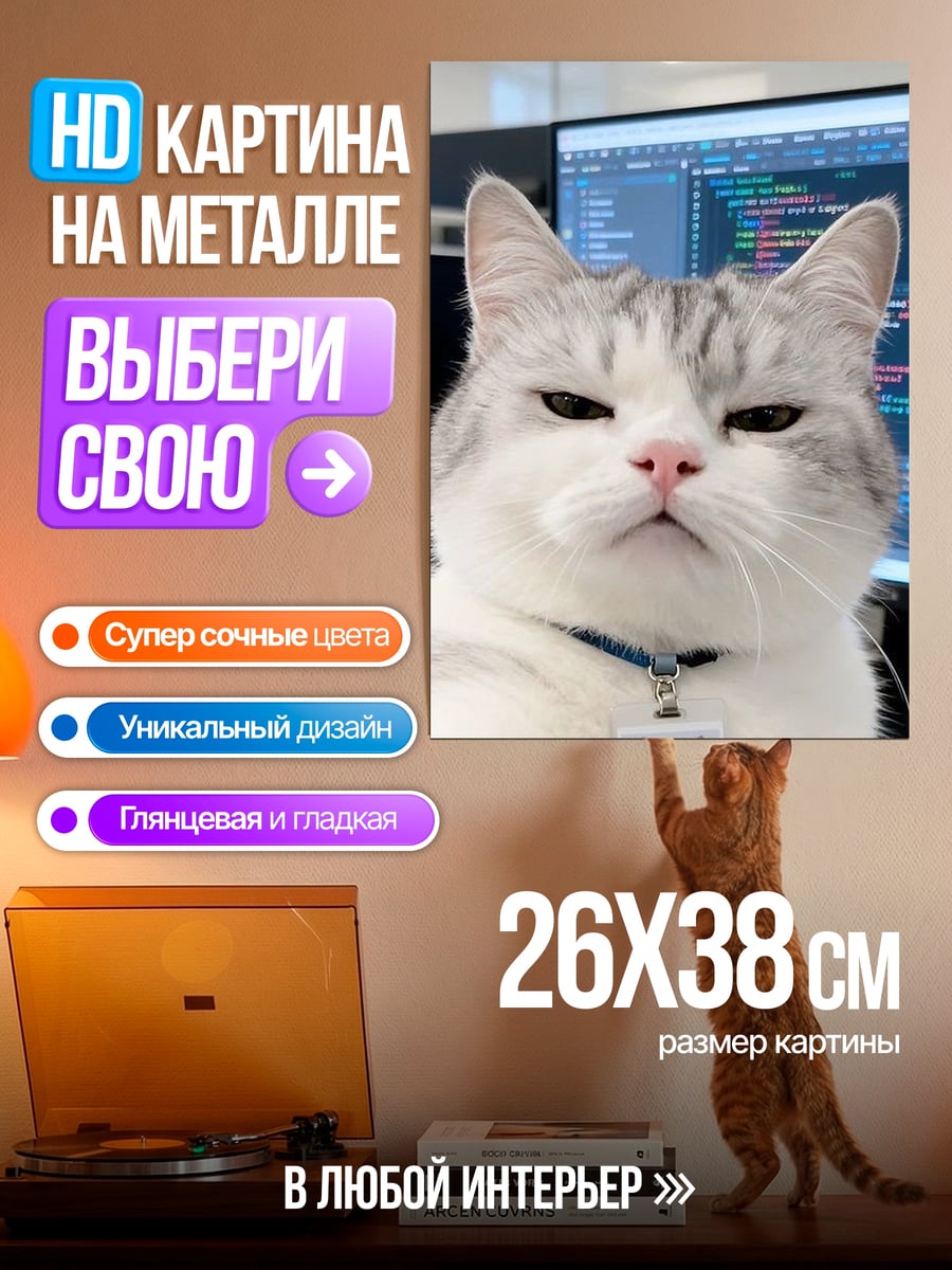 Картина на металле кот программист