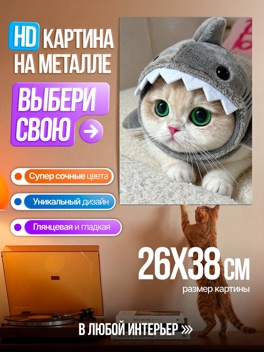 Картина на металле Кот в костюме акулы