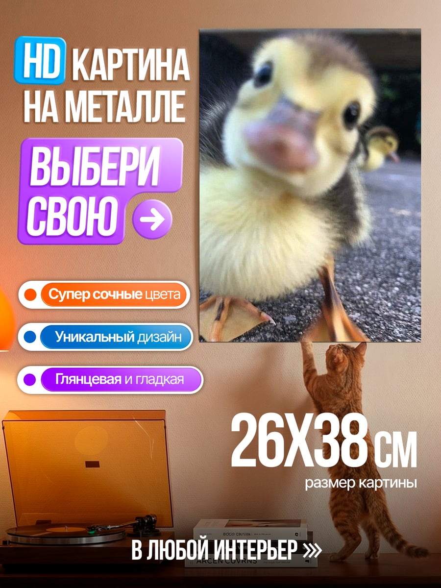 Картина на металле Милый утёнок