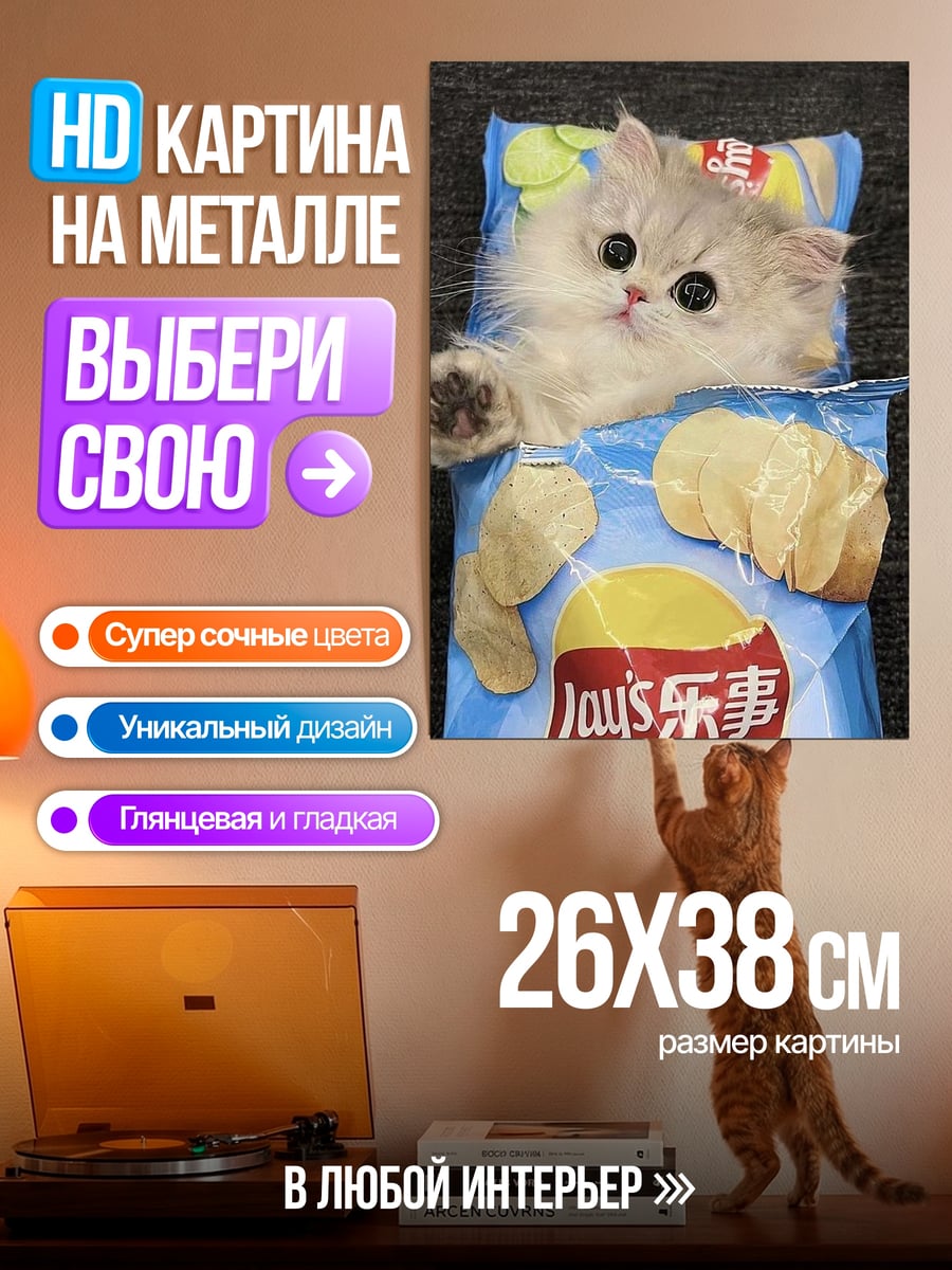 Картина на металле Кот в чипсах