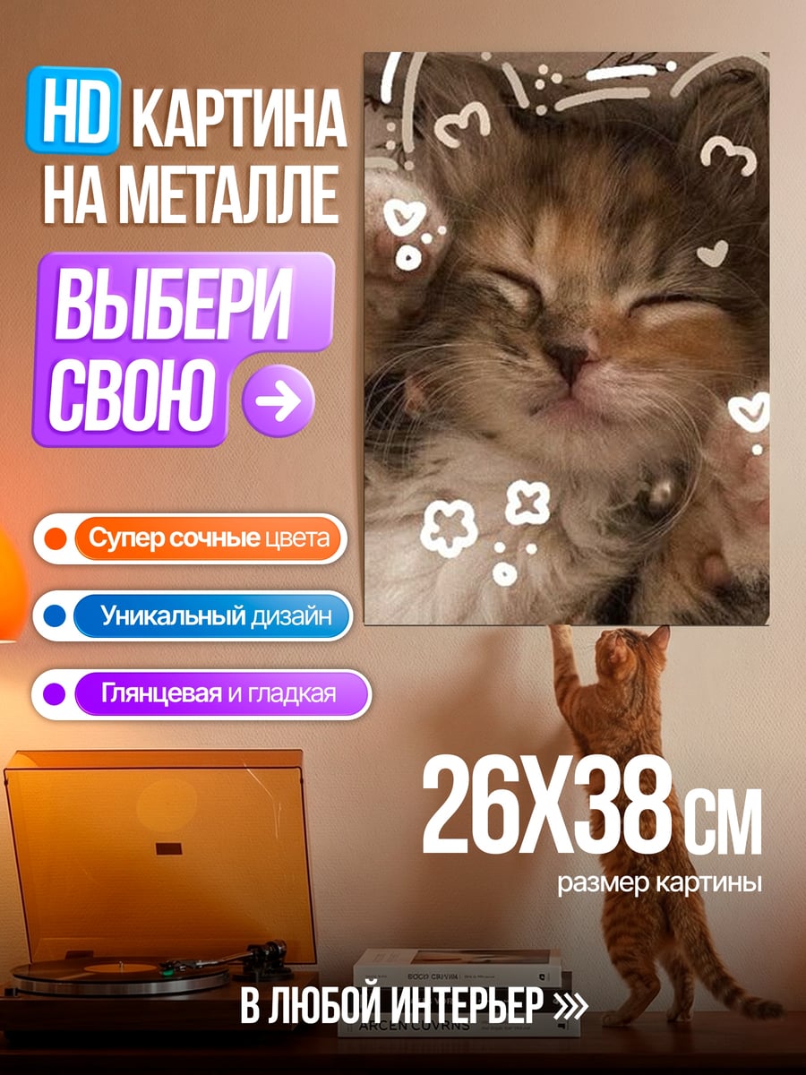 Картина на металле Спящий котенок