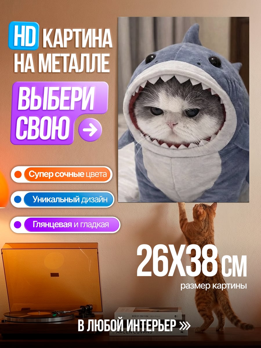 Картина на металле Кот в костюме акулы