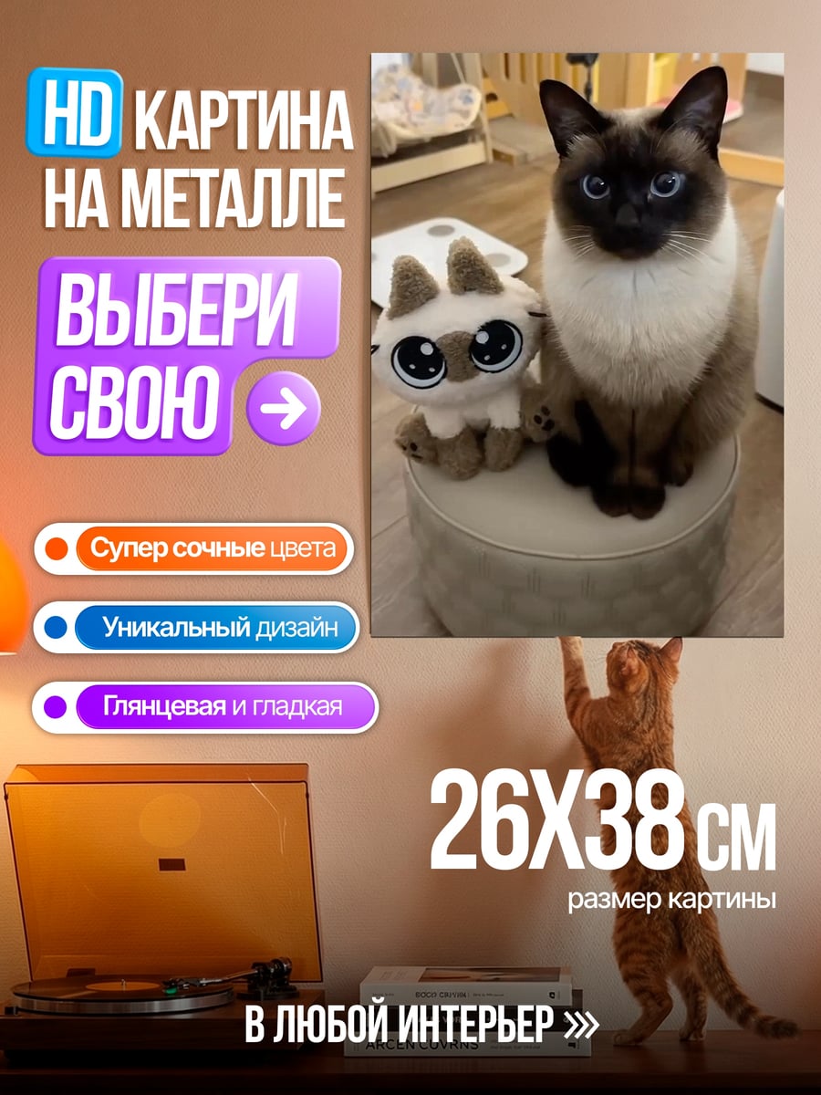 Картина на металле Сиамский кот и игрушка