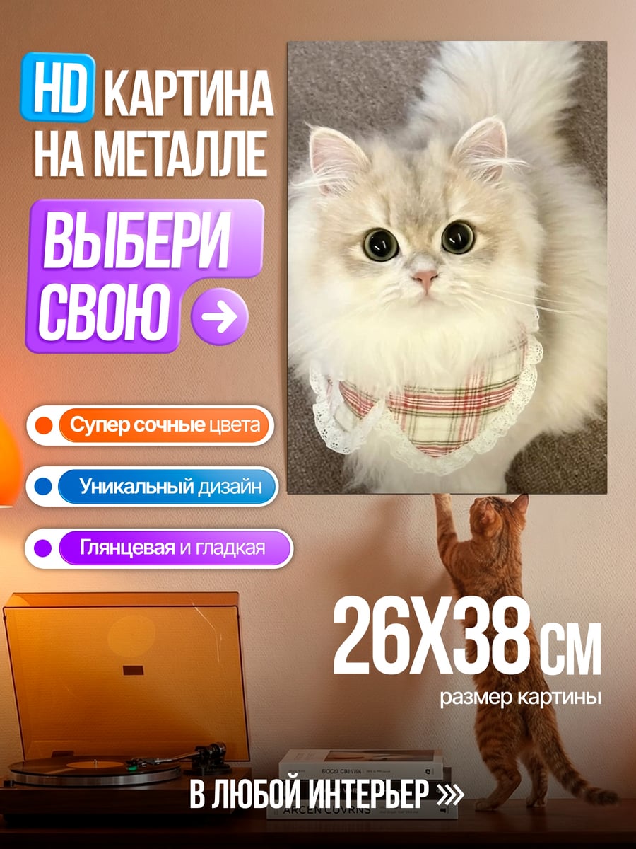 Картина на металле Пушистый кот
