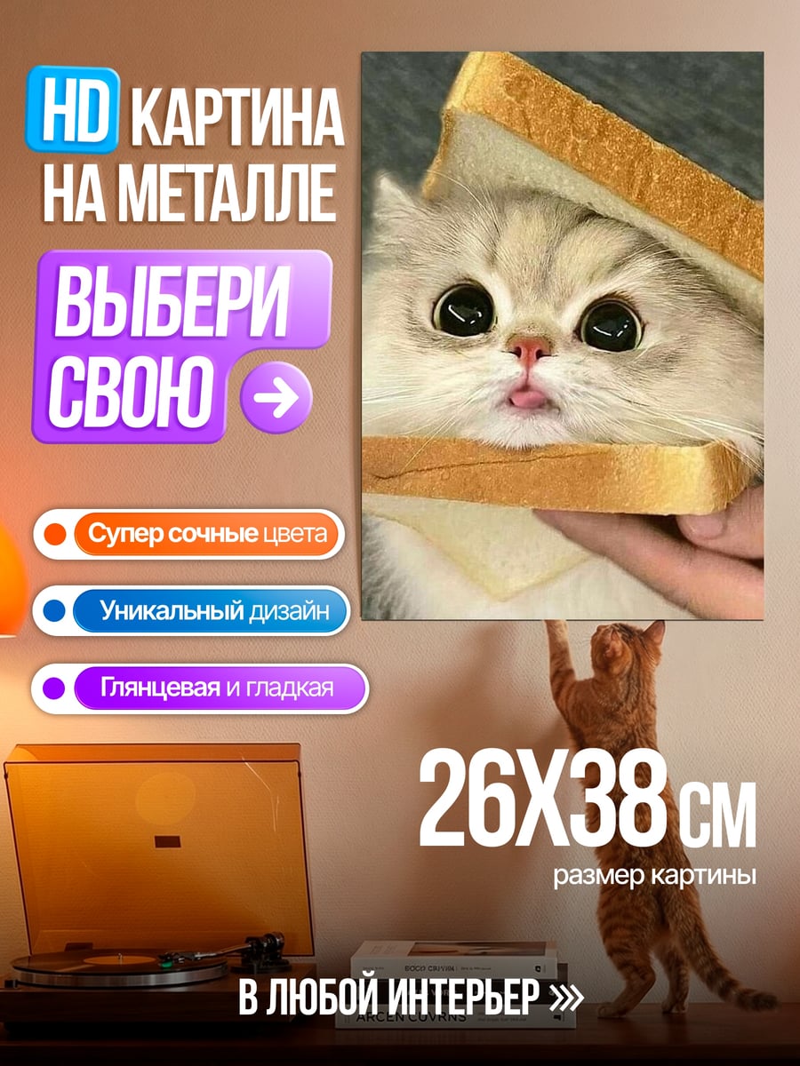 Картина на металле Кот в сэндвиче