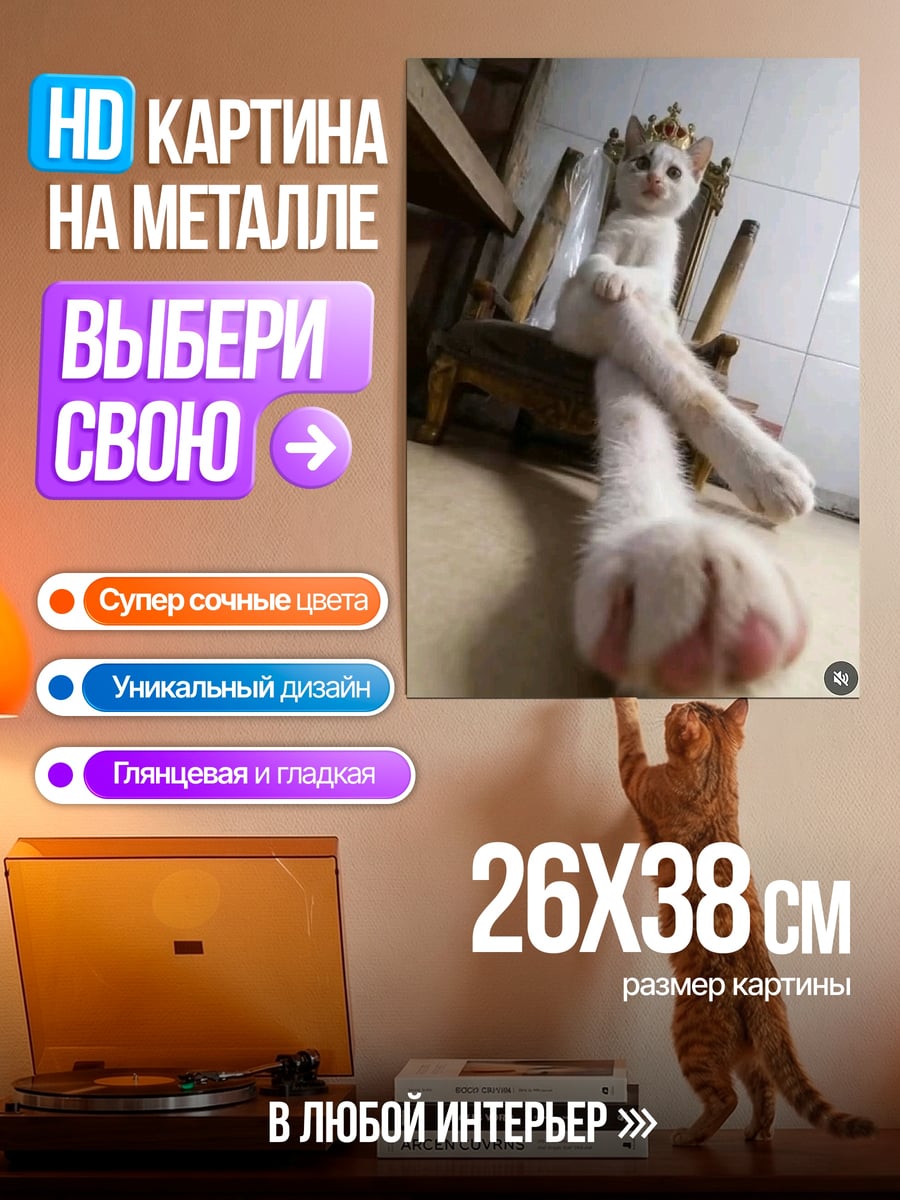Картина на металле Королева кошек