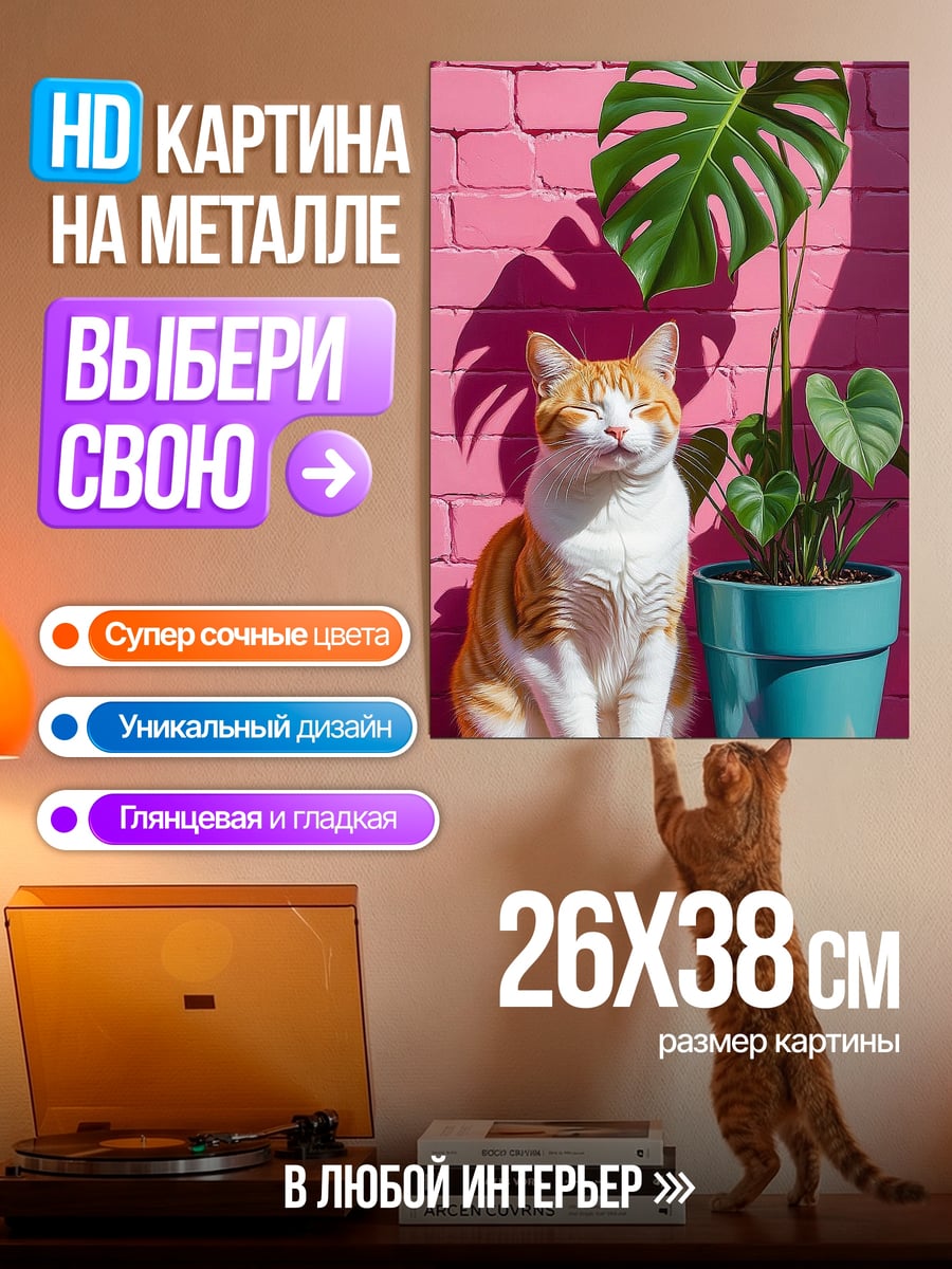 Картина на металле Кот и монстера
