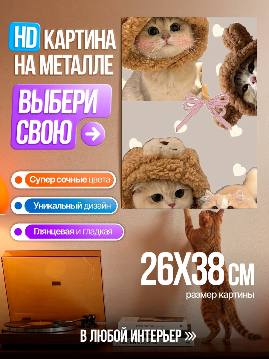 Картина на металле Милые котики в шапках