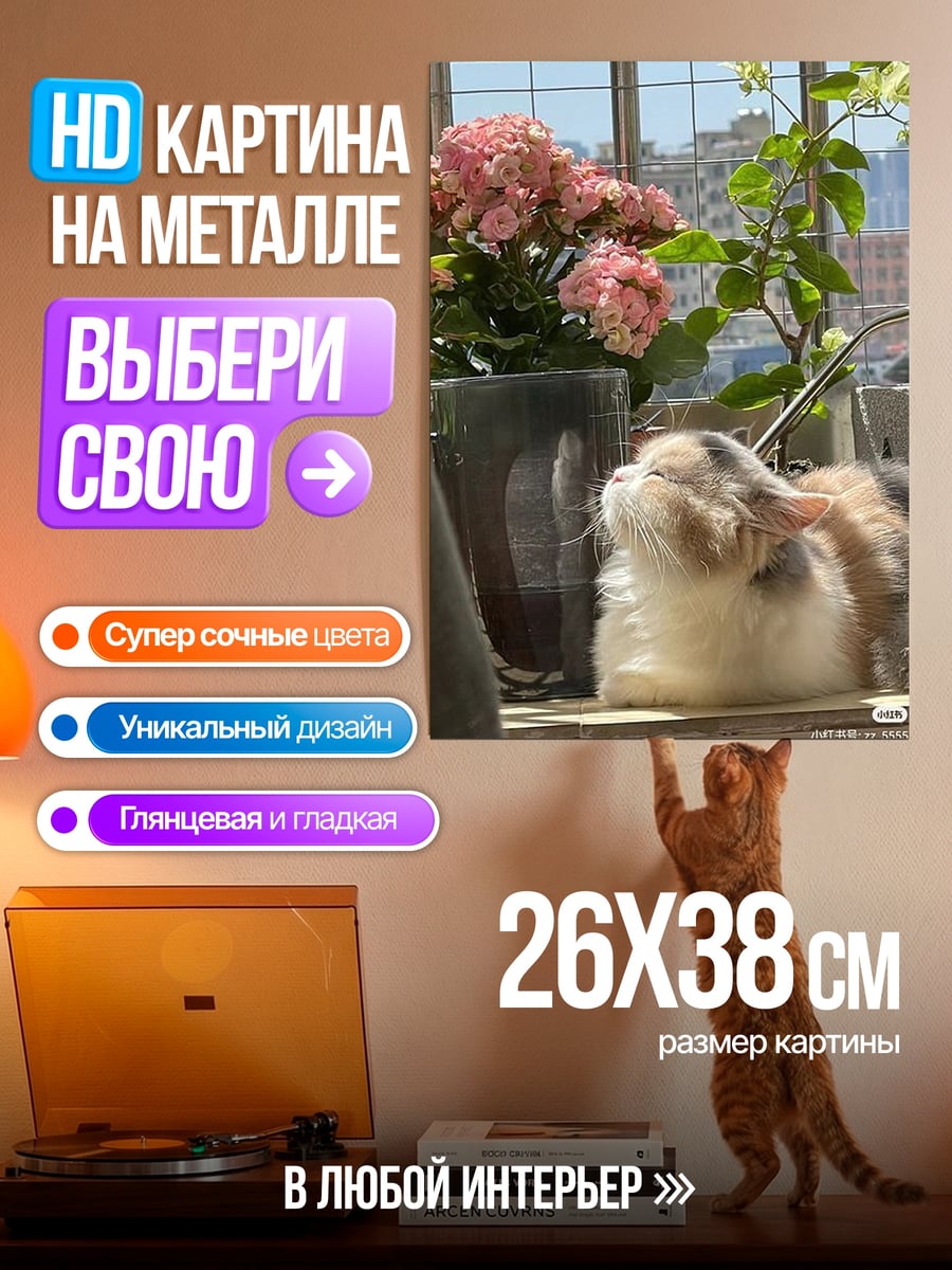 Картина на металле Кот у окна