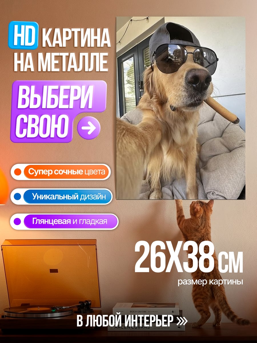 Картина на металле Золотистый ретривер в очках