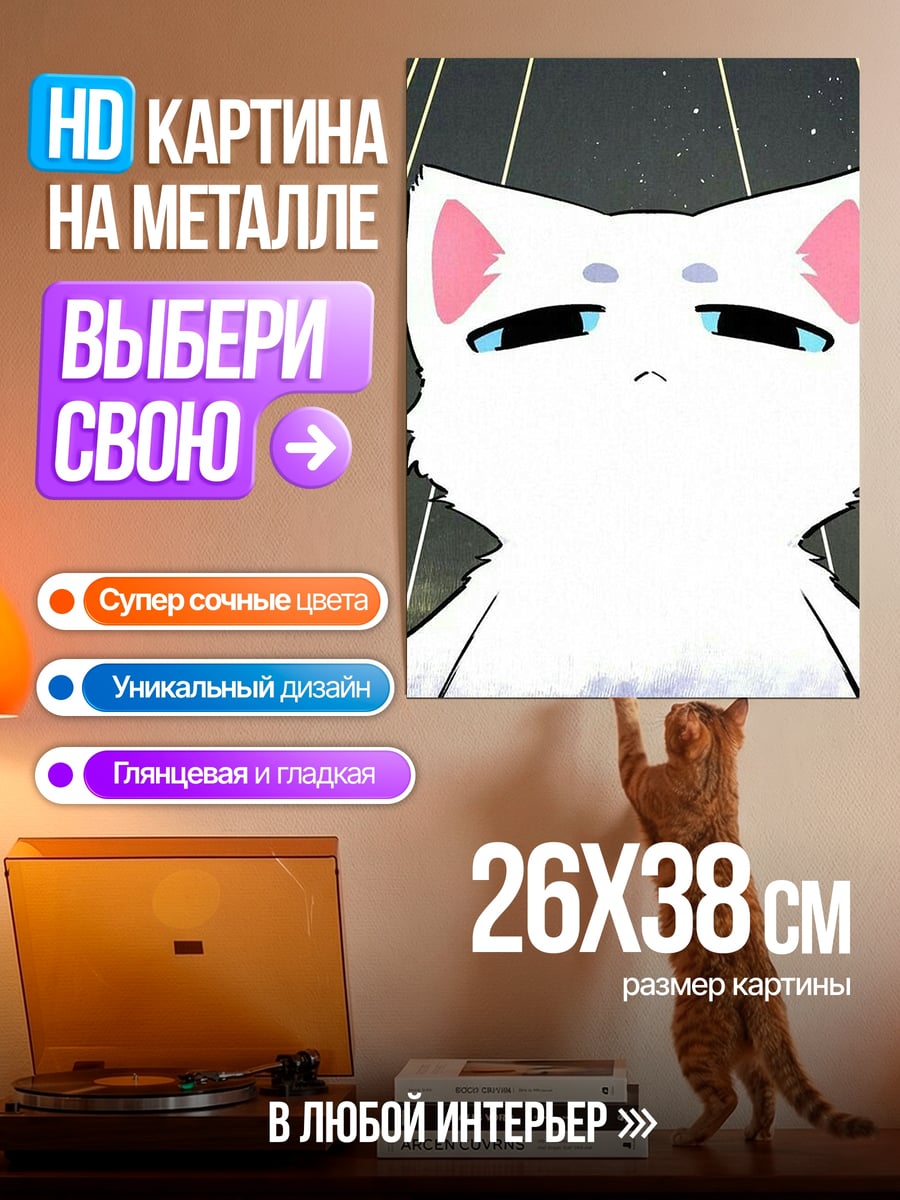 Картина на металле Белый кот смотрит вверх