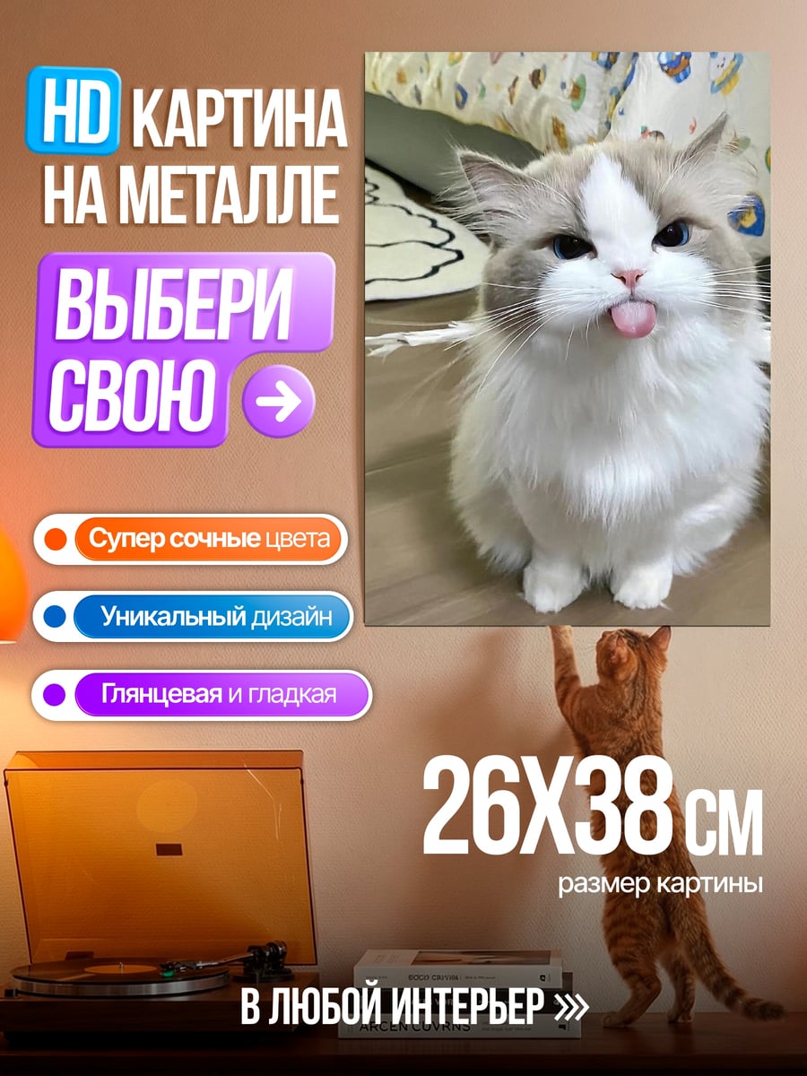 Картина на металле Кот с высунутым языком
