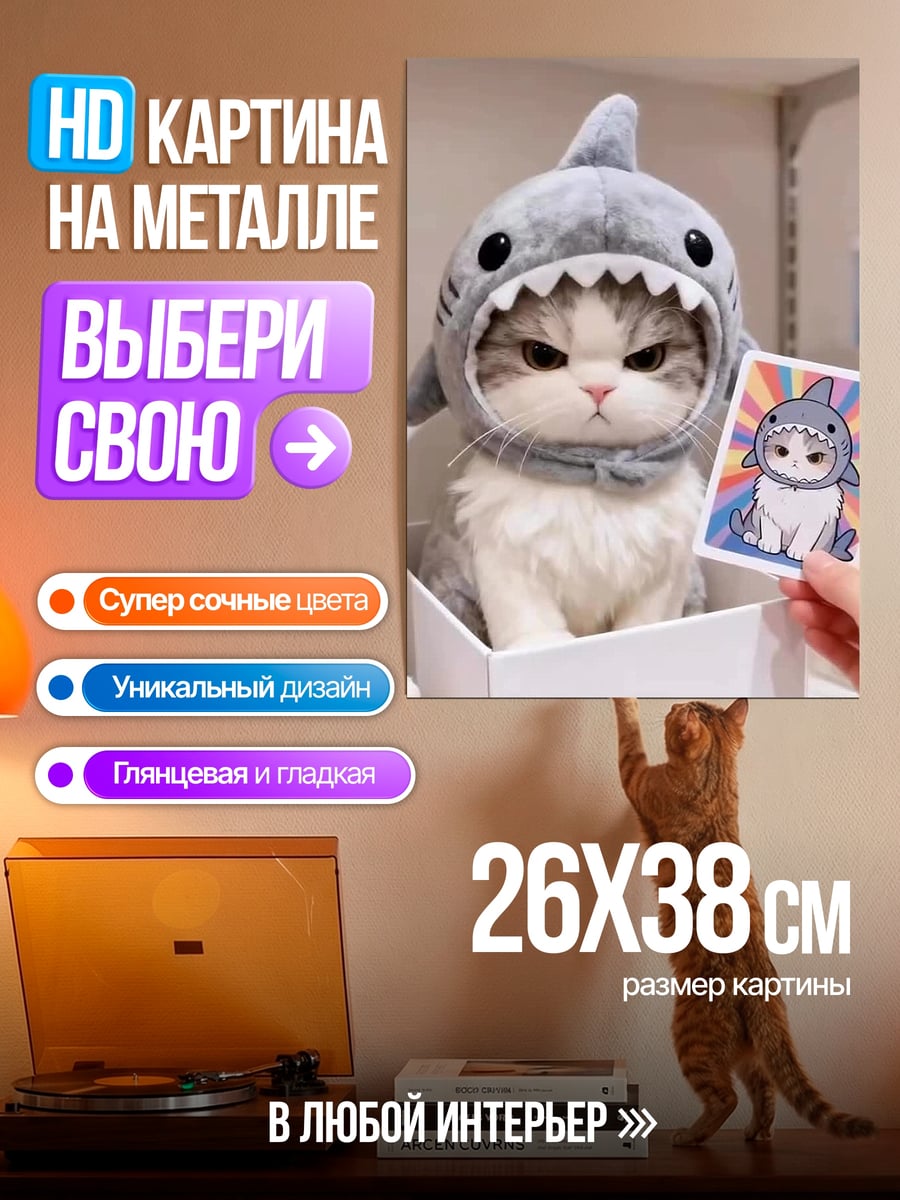 Картина на металле Кот в шапке акулы