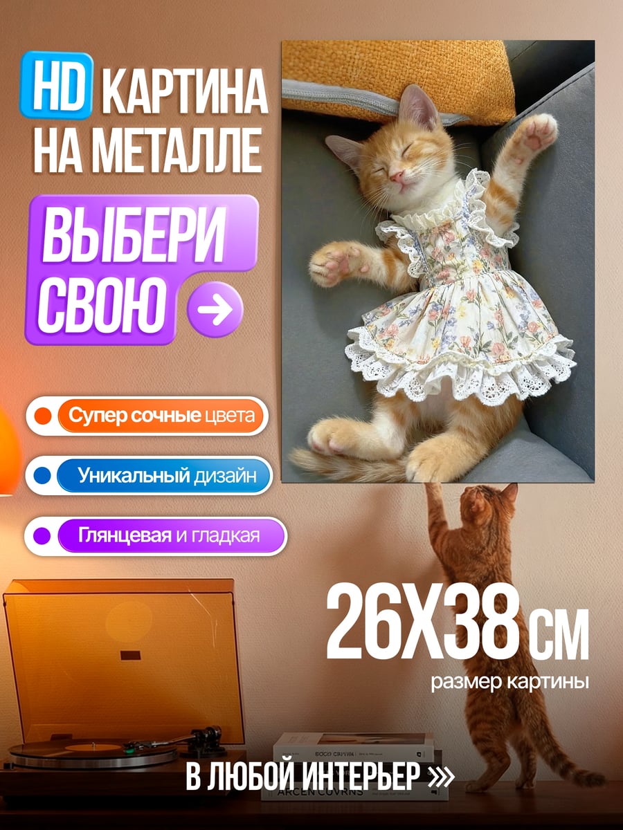 Картина на металле Спящий котенок в платье