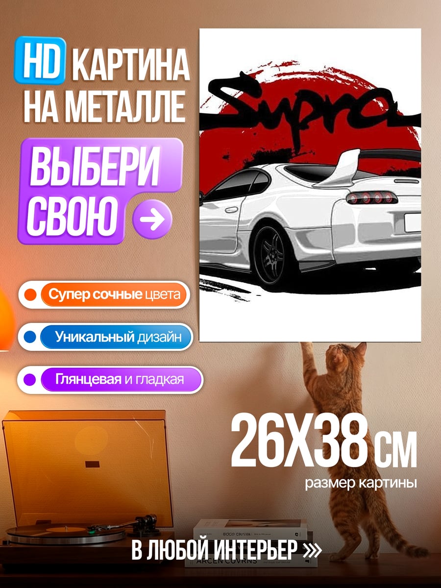Картина на металле Белая Супра закат