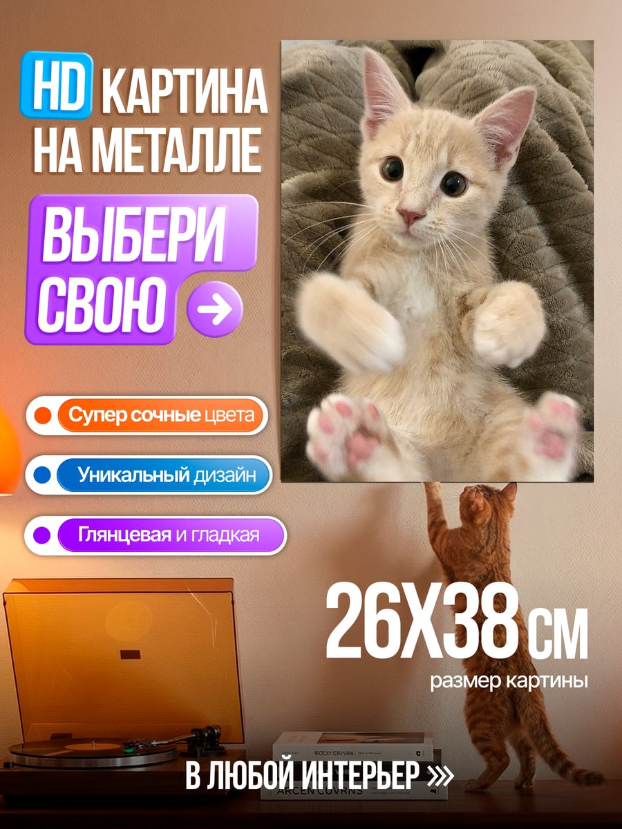 Картина на металле Рыжий котенок лежит