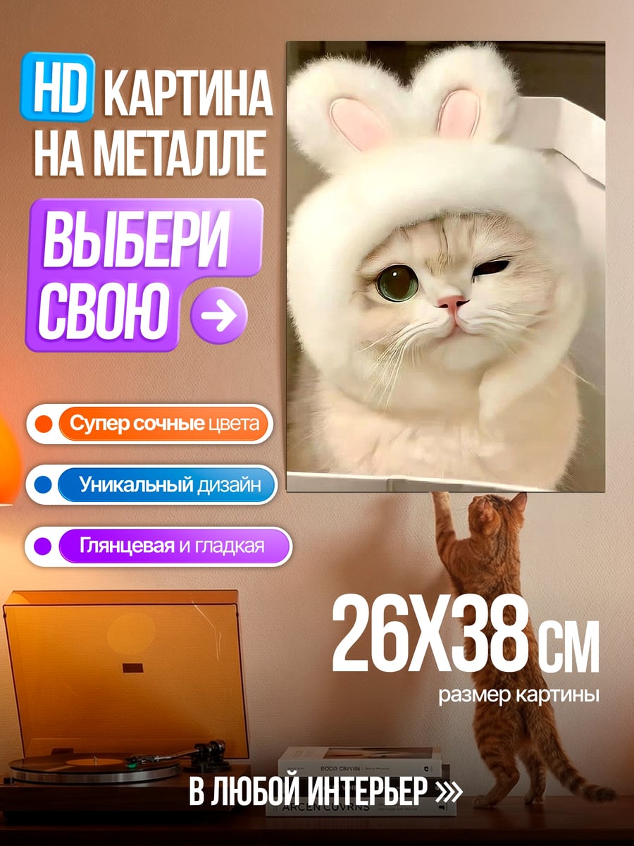 Картина на металле Котенок в шапке