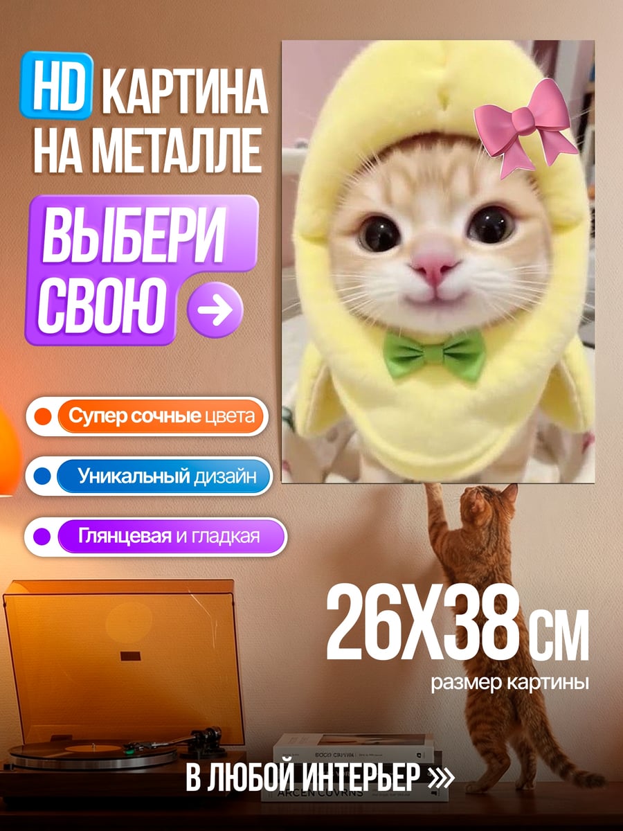 Картина на металле Кот в банане