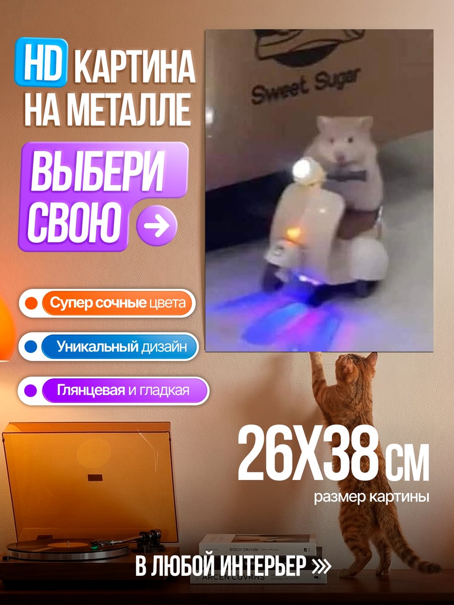 Картина на металле хомяк на скутере