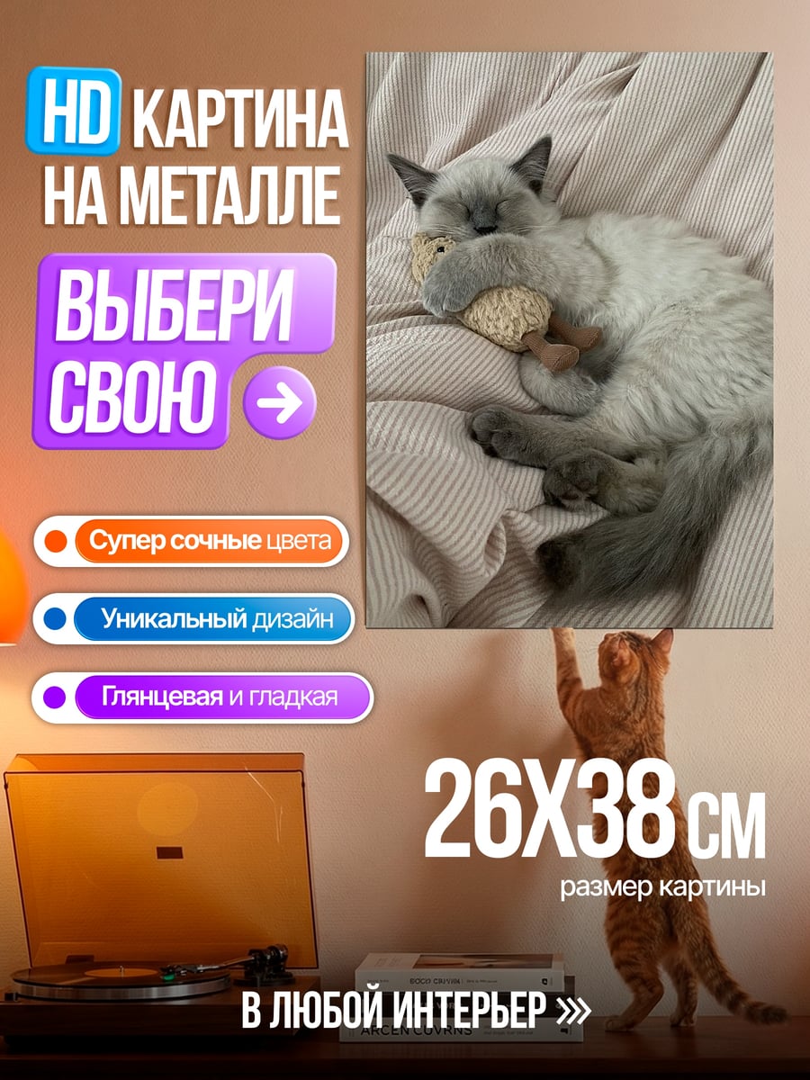 Картина на металле Спящий котенок на подушке