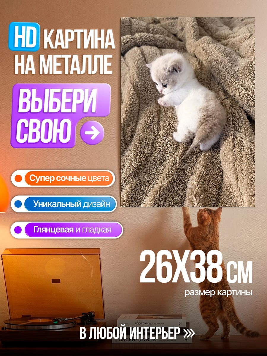 Картина на металле Милый котенок на пледе