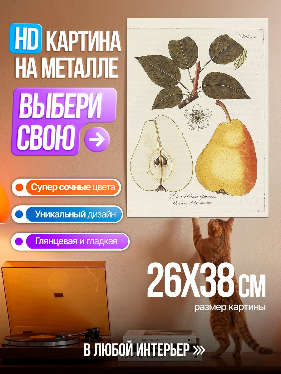 Картина на металле Груша сорт конференц