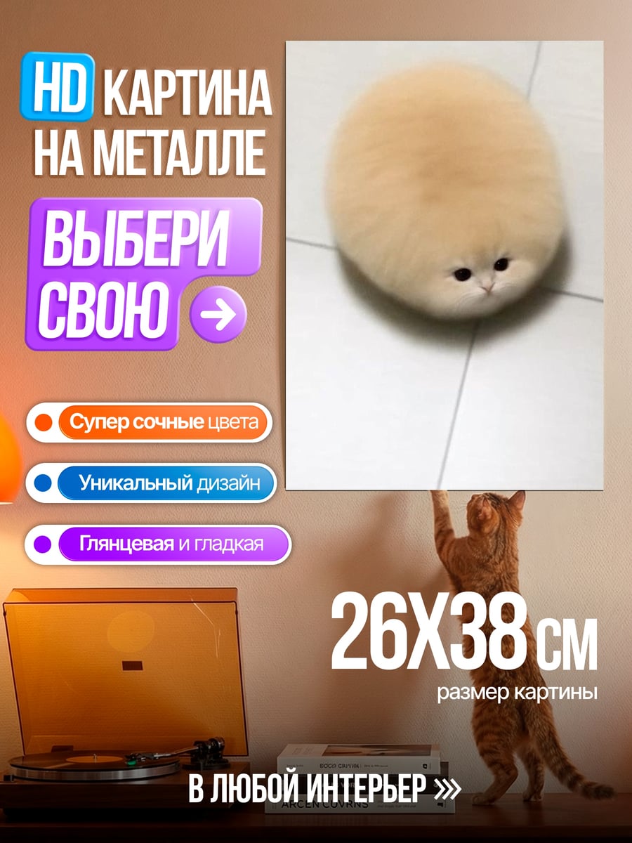 Картина на металле Кот шарик