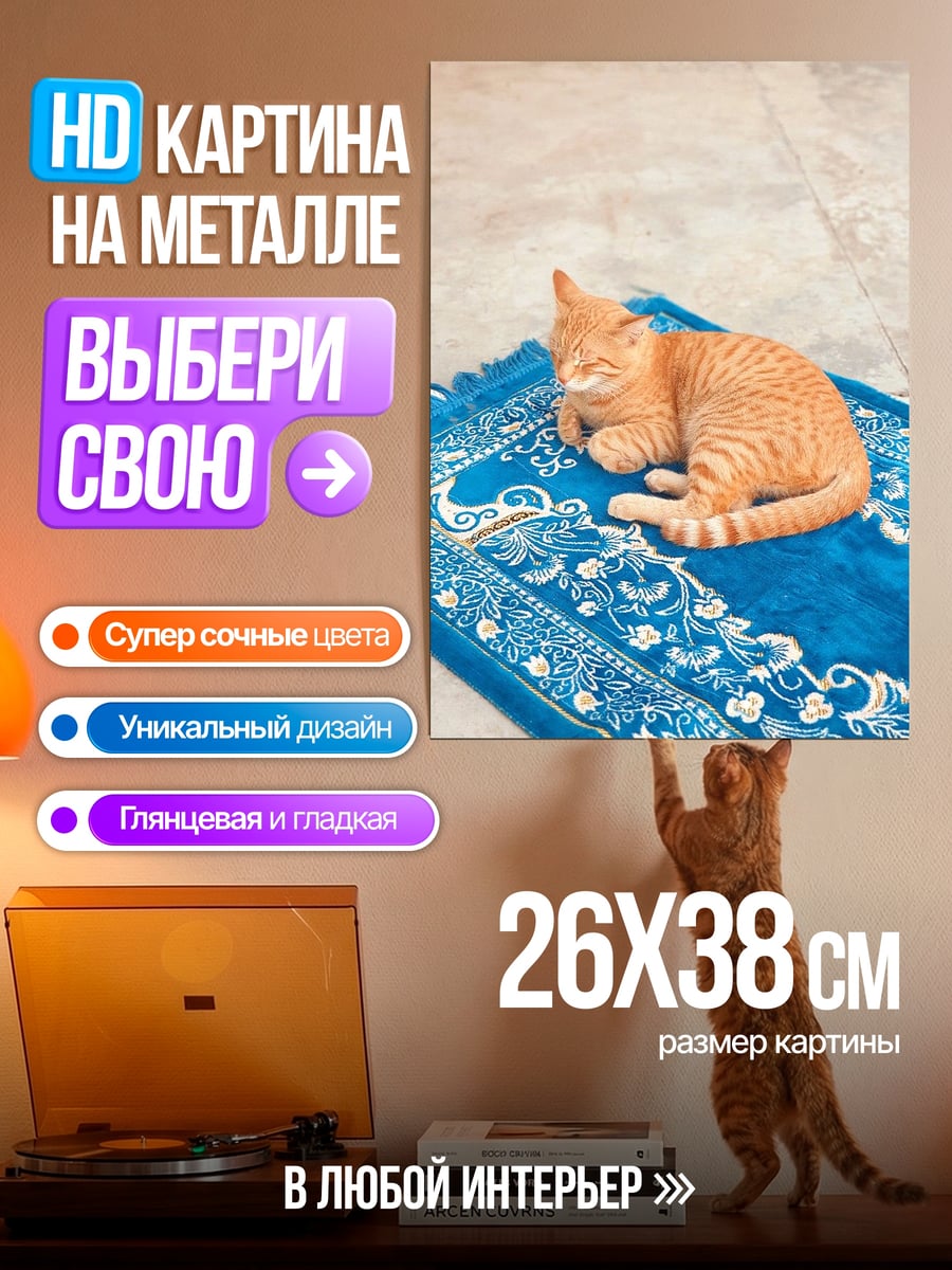 Картина на металле Рыжий кот на ковре