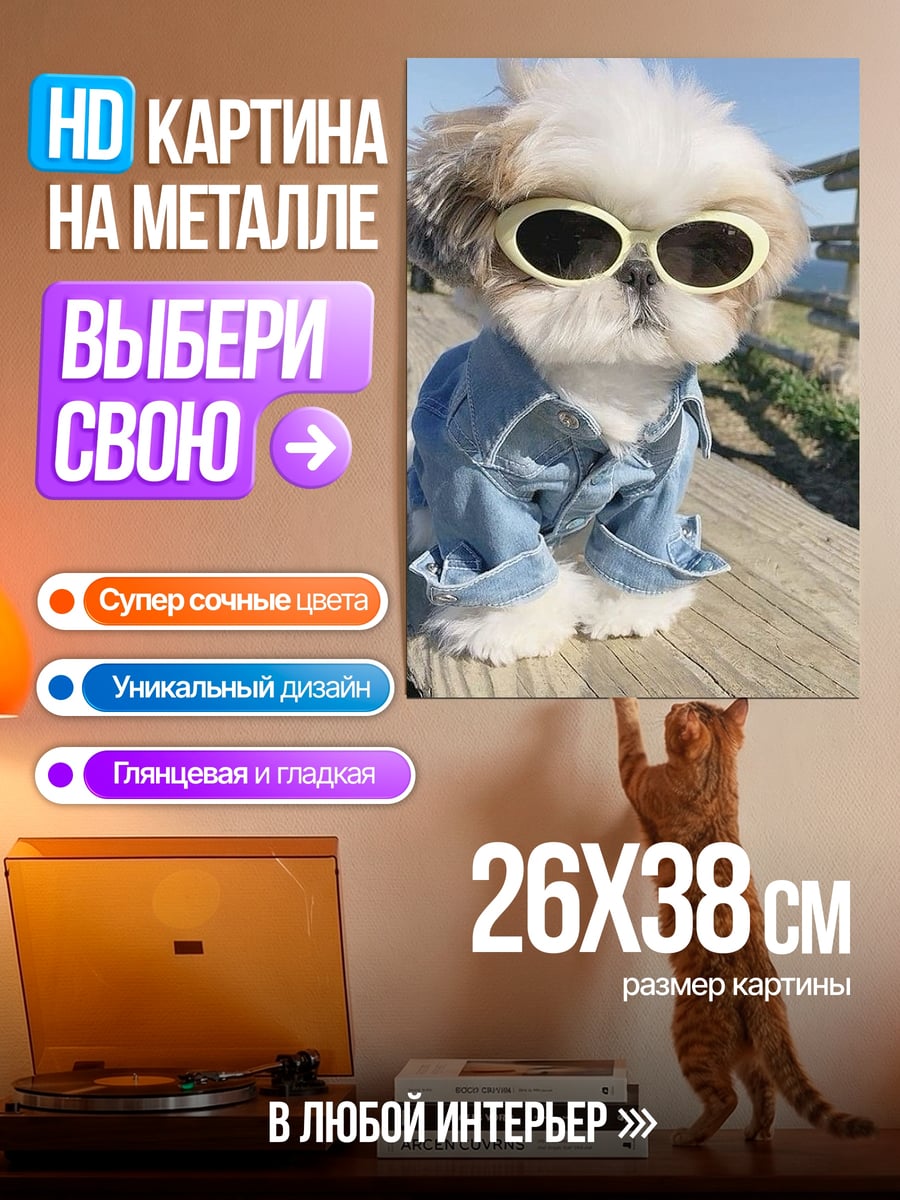Картина на металле Ши-тцу в очках