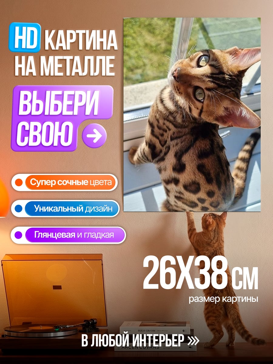 Картина на металле Бенгальский котенок