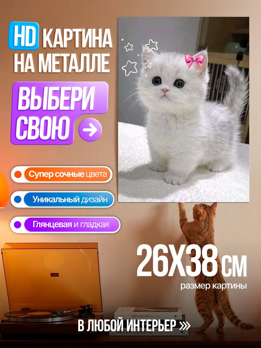 Картина на металле Белый котенок с бантом
